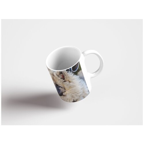 фото Кружка "собака, шерсть, пушистый 320 мл. белая" lotsprints