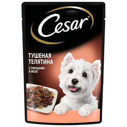 Cesar Влажный корм для взрослых собак, с тушеной телятиной (34 штуки)