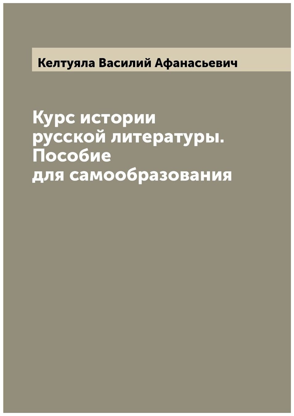 Книга Курс истории русской литературы. Пособие для самообразования - фото №1