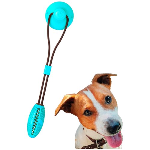 Игрушка для собак / мяч на присоске / для жевания / для чистки зубов / Бирюзовый
