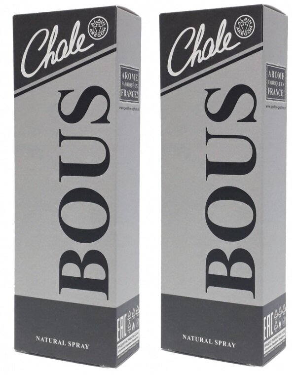 Дезодорант мужской Chale Boys, парфюмированный, 100 мл, 2 шт