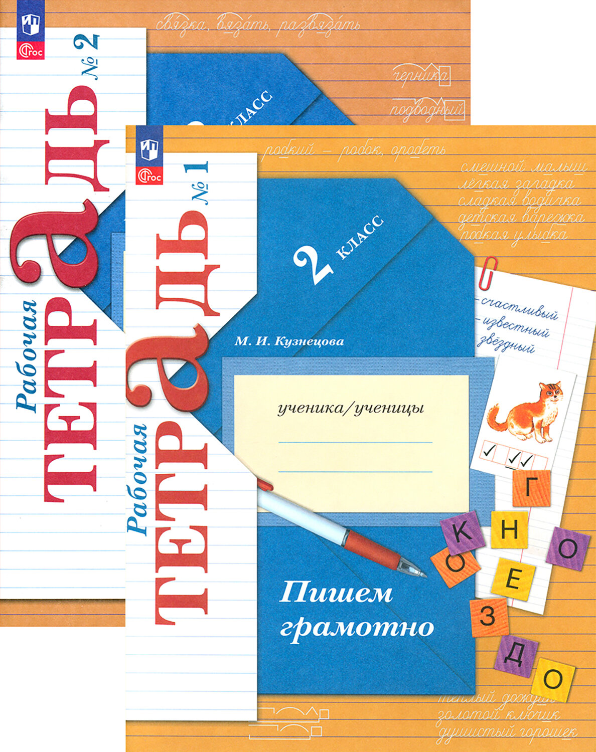 Пишем грамотно. 2 класс. Рабочая тетрадь. В 2-х частях. ФГОС