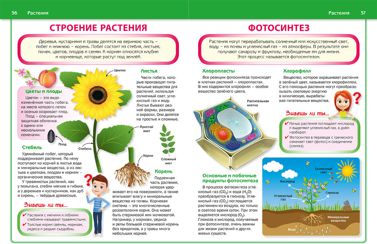 Энциклопедия для детей, которым всё интересно - фото №13