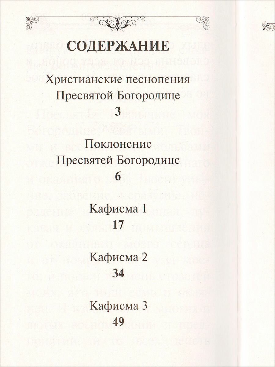 Псалтирь Пресвятой Богородице. Крупный шрифт - фото №6