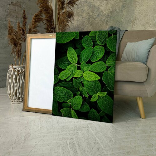 Картина на холсте листья зеленые растений темно 40x60 смдля интерьерав комнатуна стенув подарок 1595₽