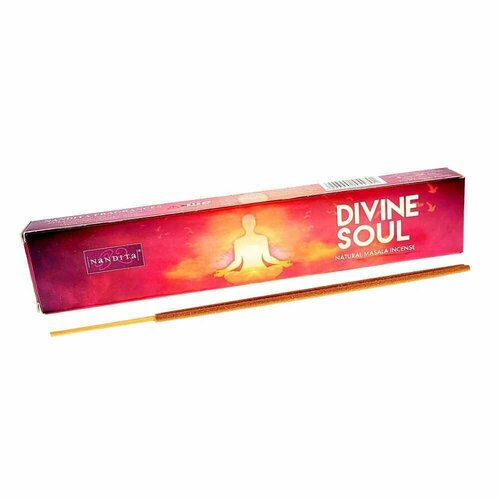 DIVINE SOUL Natural Masala Incense, Nandita (божественная душа натуральные благовония палочки, Нандита), 15 г.