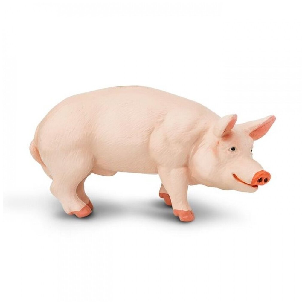 Фигурка Хряка (свиньи) Safari Ltd , для детей, игрушка коллекционная, 235229