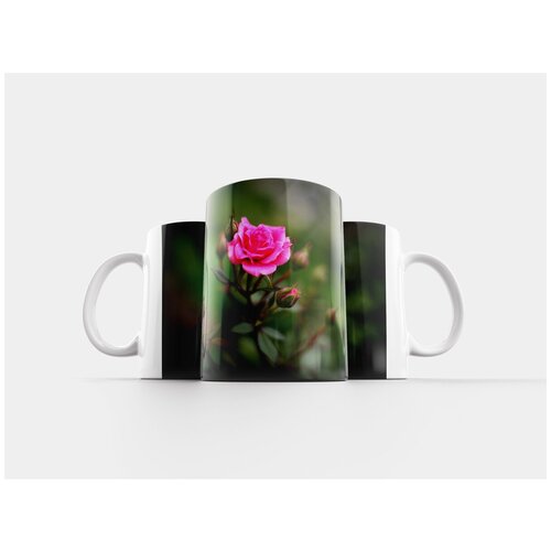 фото Кружка "роза, сад, розовый" 320 мл lotsprints