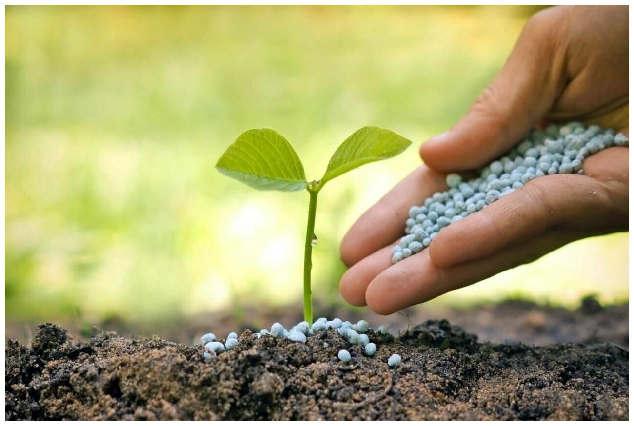 Удобрение Азофоска (нитроаммофоска) 1кг - обеспечивает растения макроэлементами. Повышает питательную ценность урожая садовых и огородных культур
