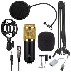 Микрофонный комплект JBH BM-800, разъем: XLR 5 pin (M), черный/золотистый