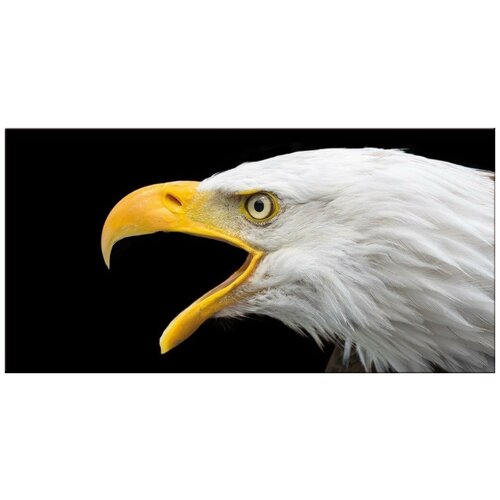 Панно декоративное PINTDECOR GRAPHIC COLLECTION AQUILA G5916 800х400