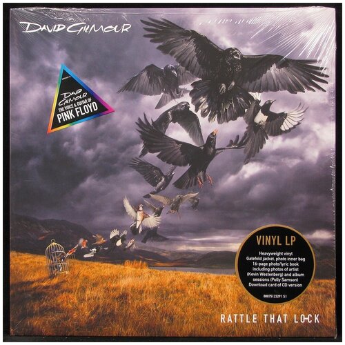 Виниловая пластинка Columbia David Gilmour – Rattle That Lock (+ book) david gilmour david gilmour rattle that lock 180 gr