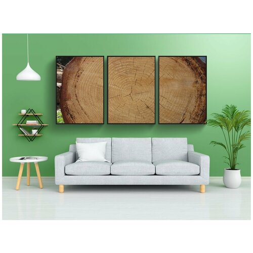 фото Набор модулных постеров для интерьера "ствол дерева, древесина, годовые кольца" 60x90 см. в тубусе, без рамки lotsprints