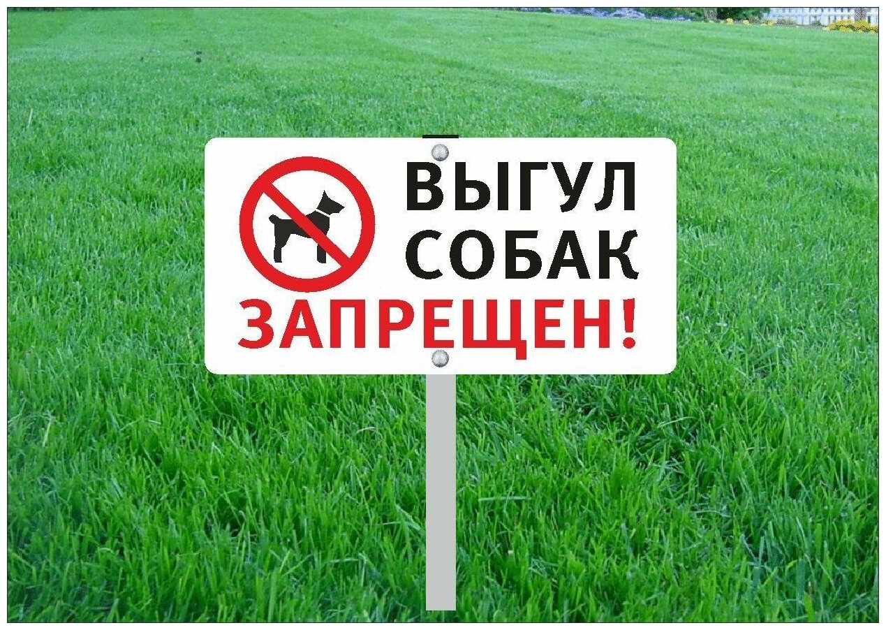 Табличка на стойке-топпер Выгул собак запрещён
