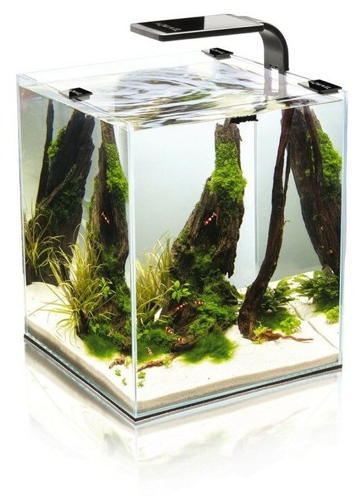 AQUAEL Aквариум 19 л SHRIMP SET SMART LED PLANT ll 20, черный - фотография № 2