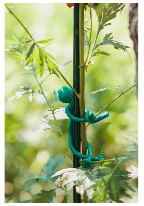 Подвязка для растений «Лягушка», набор 2 шт., зелёная - фотография № 3