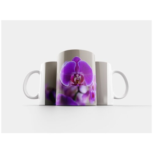 фото Кружка "ятрышник, цветок, завод" 320 мл lotsprints