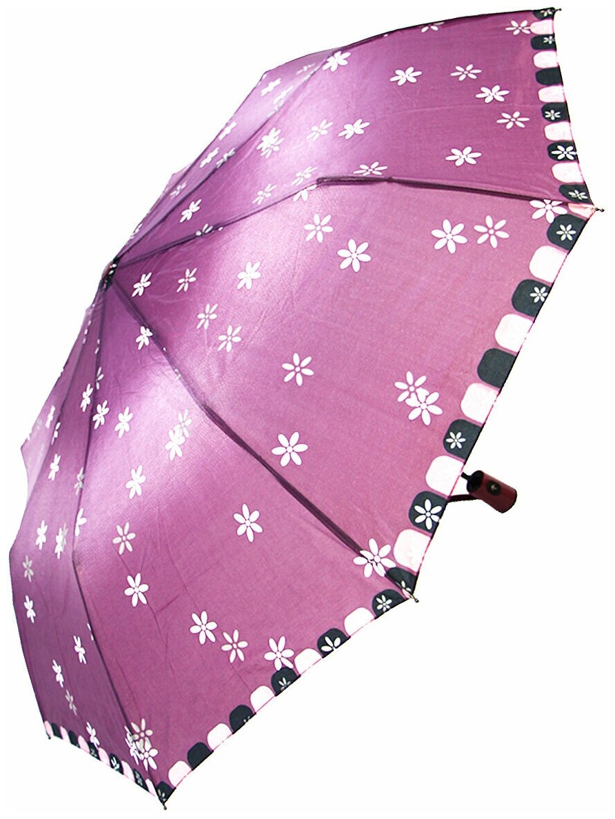    Lantana umbrella L773/-