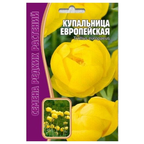 Семена Купальницы европейской (20 семян)