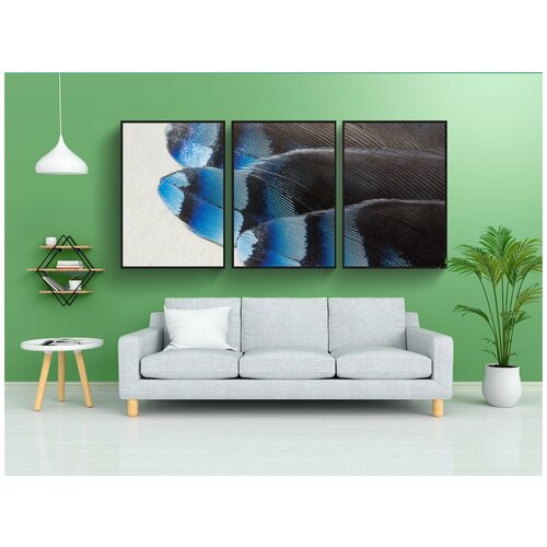 фото Набор модулных постеров для интерьера "перья, джей, garrulus glandarius" 60x90 см. в тубусе, без рамки lotsprints