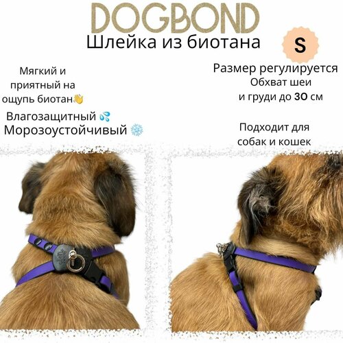 Шлейка Dogbond "Dogs Life" влагозащитная из биотана для собак малых пород и кошек