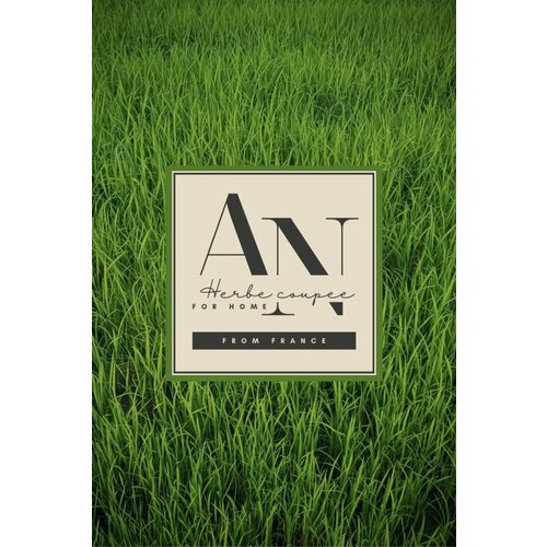 Ароматизатор для автомобиля Скошенная трава автопарфюм; 8 мл