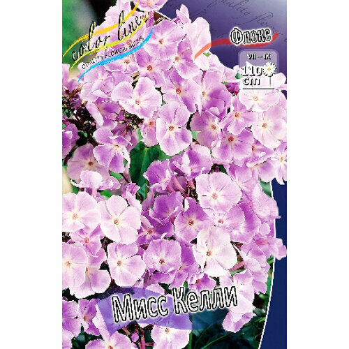 Флокс метельчатый Miss Kelly 1 шт 403₽