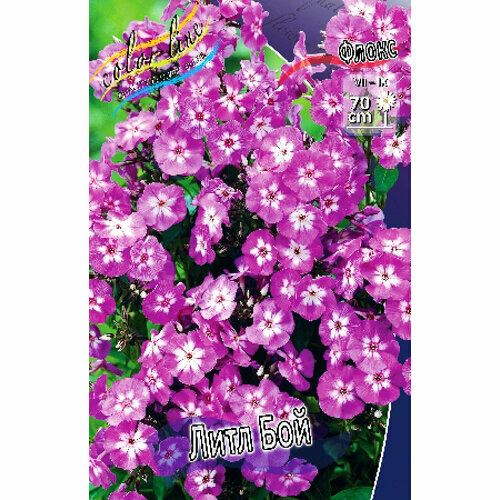 Флокс метельчатый Little Boy 1 шт 403₽