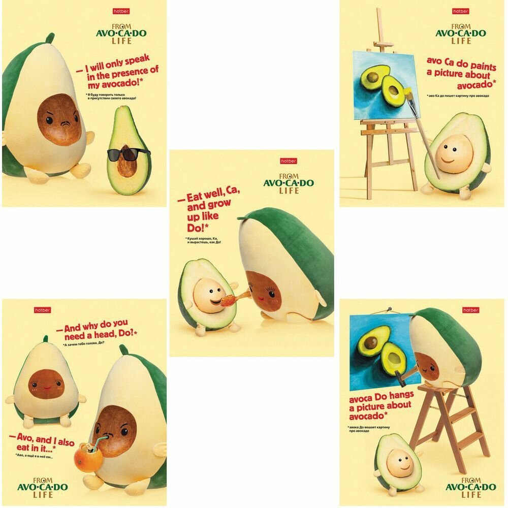 Тетрадь А5, 48 л, HATBER, скоба, клетка, обложка картон, AvoCaDo life (5 видов в спайке)