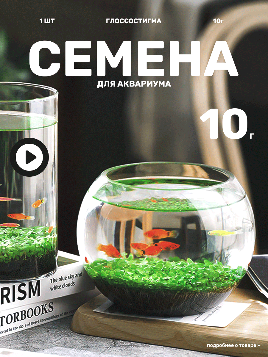 Семена растений для аквариума "Glossostigma", семена декоративных растений 10 г