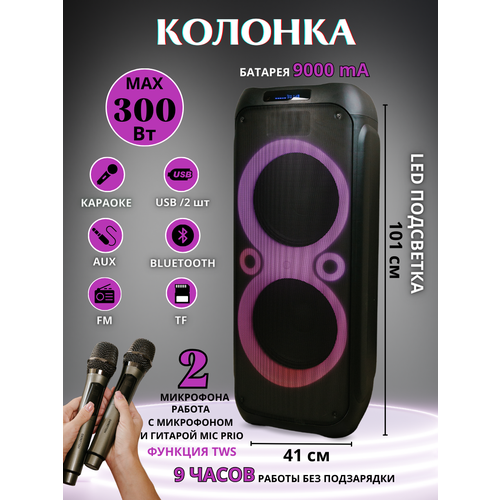 Колонка музыкальная с функцией караоке HOLLEBERG HX-E1252