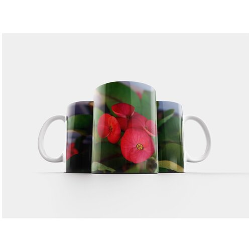 фото Кружка "пои сиан, цветок, красный" 320 мл lotsprints