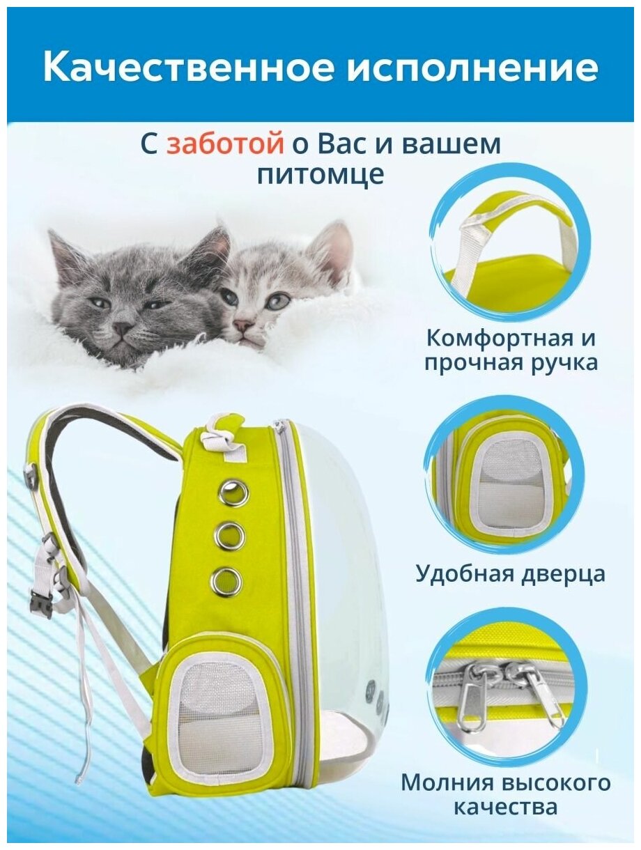 Рюкзак переноска для кошек, собак и грызунов / Рюкзак с иллюминатором для животных до 7 кг - фотография № 4