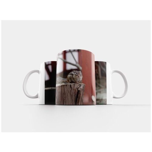 фото Кружка "белка, вуд, вудс" 320 мл lotsprints