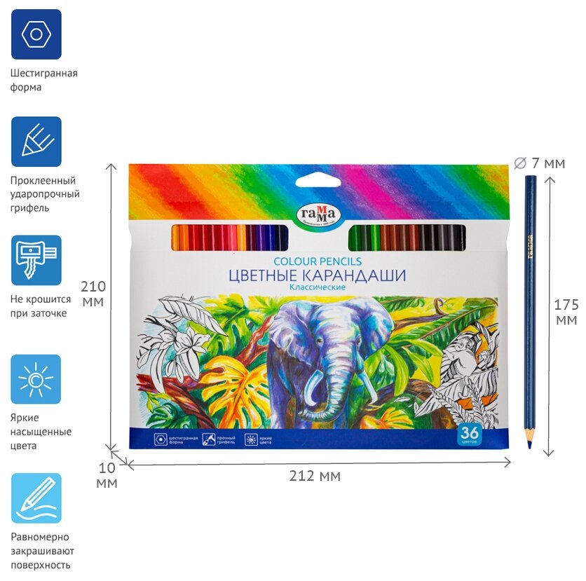 Цветные карандаши для школы 36 цветов, шестигранные / Набор цветных карандашей для рисования школьный Гамма "Классические"