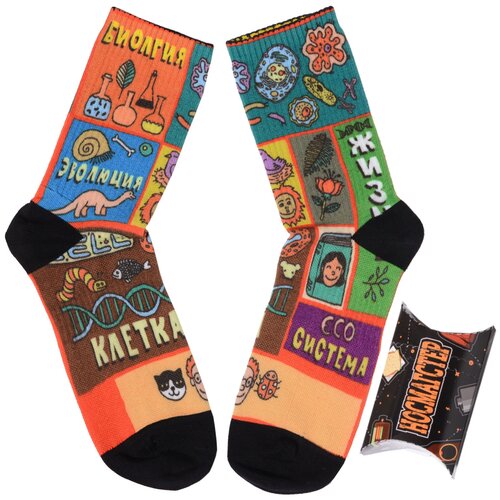 фото Молодежные носки в подарочной упаковке носмагстер с принтом "биология", размер 40-44 nosmag