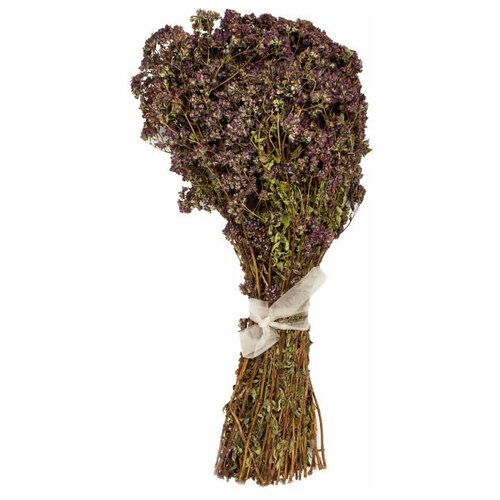 Сухоцветы для декора душица орегано крымская букет сухоцветы натуральные крымские травы 30 см
