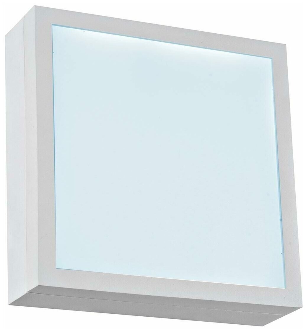 Настенно-потолочный светодиодный светильник iLedex CReator X068116 WH-6000K - фотография № 1