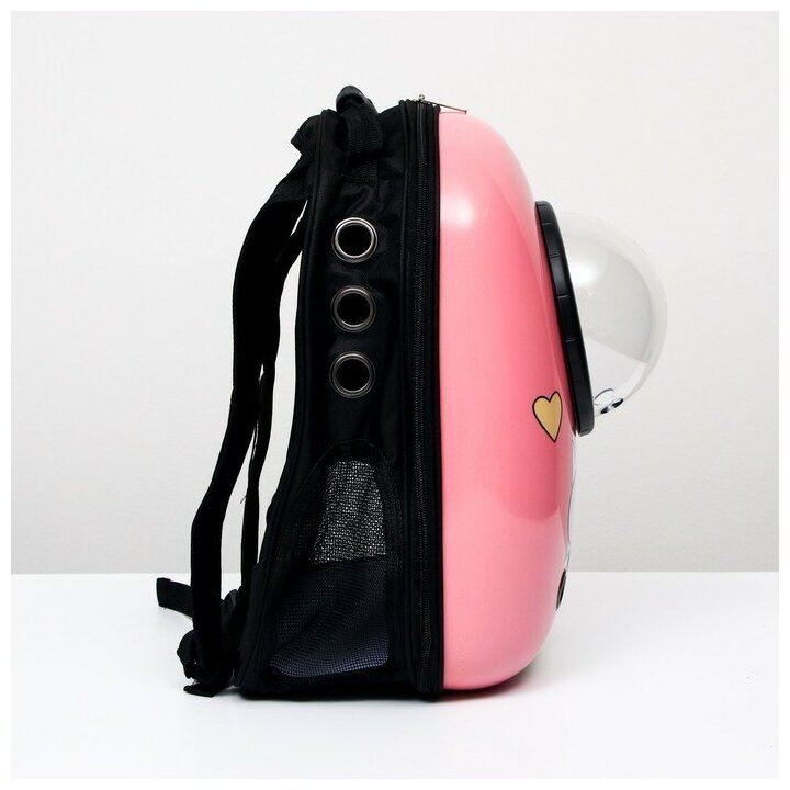 Рюкзак для переноски животных с окном для обзора "Кот учёный", 32 х 25 х 42 см, розовый 6971566