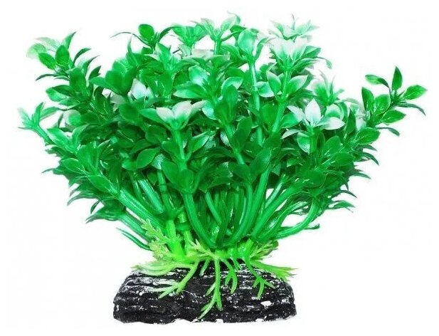 Растение Микрантемум зелёный пластик 46см