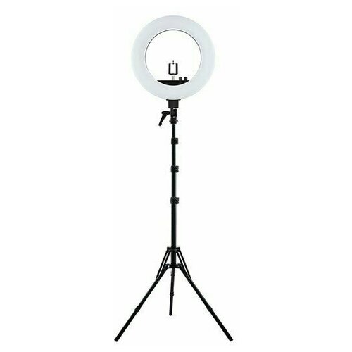 Светодиодная кольцевая лампа цвет Purple Pro Light EMOCEAN 801000₽