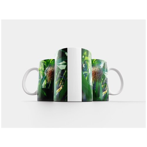 фото Кружка "кукуруза, кукуруза в початках, кукурузное поле" 320 мл lotsprints