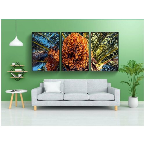 фото Набор модулных постеров для интерьера "дата, пальма, природа" 60x90 см. в тубусе, без рамки lotsprints