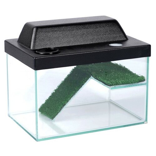 Террариум для черепах 12л с крышкой полкой и лесенкой 30 х 20 х 20 см 464700₽