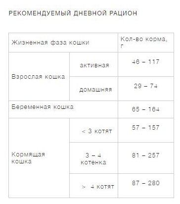 ProХвост корм для кошек говядина 350г - фотография № 7