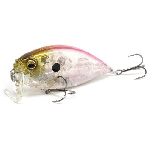 megabass ixi shad type 3 gp hachiro Megabass Over Rev Crank Burning Shad GP Cotton Wakasagi