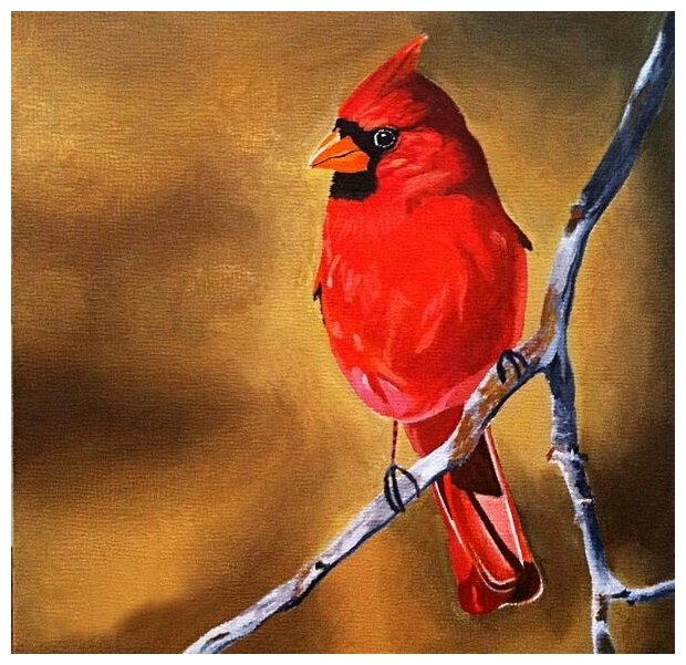 Постер на холсте Птица кардинал (Cardinal Bird) 31см. x 30см.