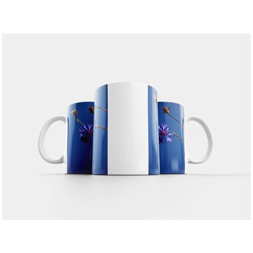 фото Кружка "васильковый, летом, синий" 320 мл lotsprints