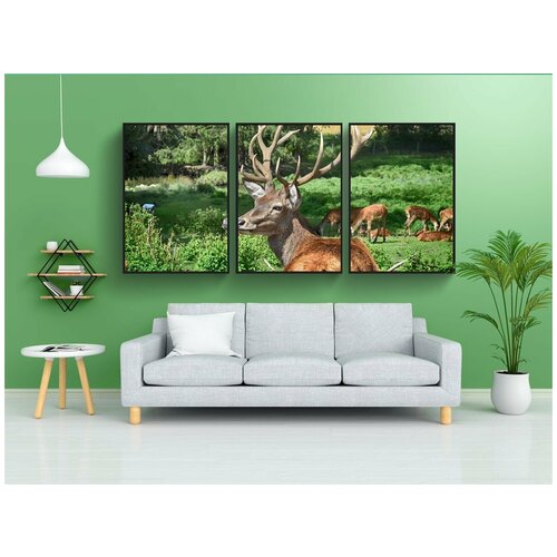 фото Набор модулных постеров для интерьера "олень, дикий, ограждение" 60x90 см. в тубусе, без рамки lotsprints