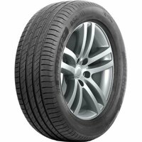 Delinte DS2 255/60 R18   ...